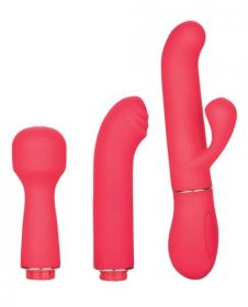 In Touch Passion Trio Pink Vibrator Kit(D0102H506N7)