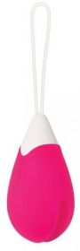 Rechargeable Egg Pink Vibrator Remote Control(D0102H522ZU)