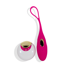 Trivia â€“ Erotic Silicone Bullet Egg Vibrator With A Remote Control(D0102HXJZ16)